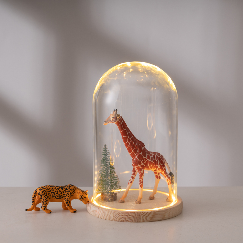 Glass Dome Wood Base With LED Light