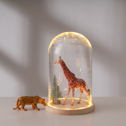 Glass Dome Wood Base With LED Light