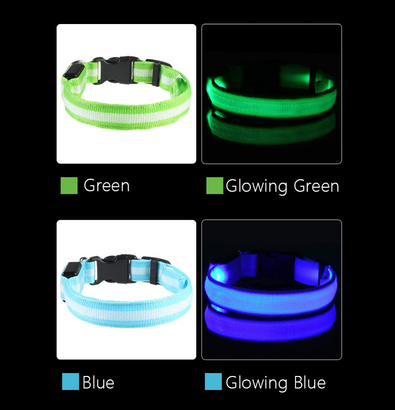 glowing dog collar