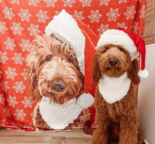 PERSONALIZED PET BLANKET-SOFT BLANKET