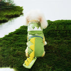Puppy reflective raincoat