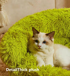 Pet sofa-Puppy sofa