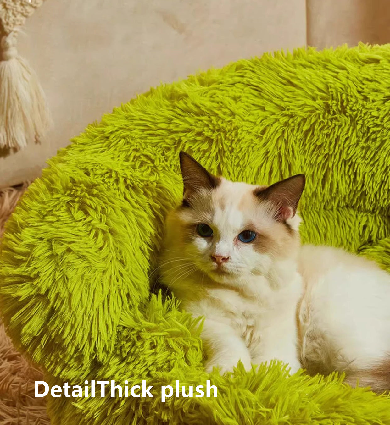 Pet sofa-Puppy sofa