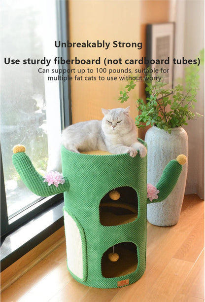 Cactus cat house