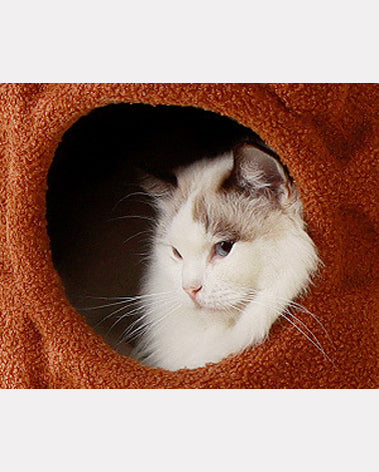 Double-layer indoor cat house