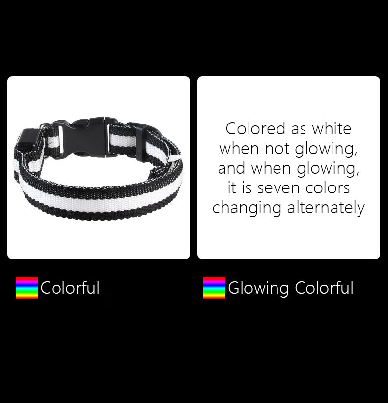 glowing dog collar