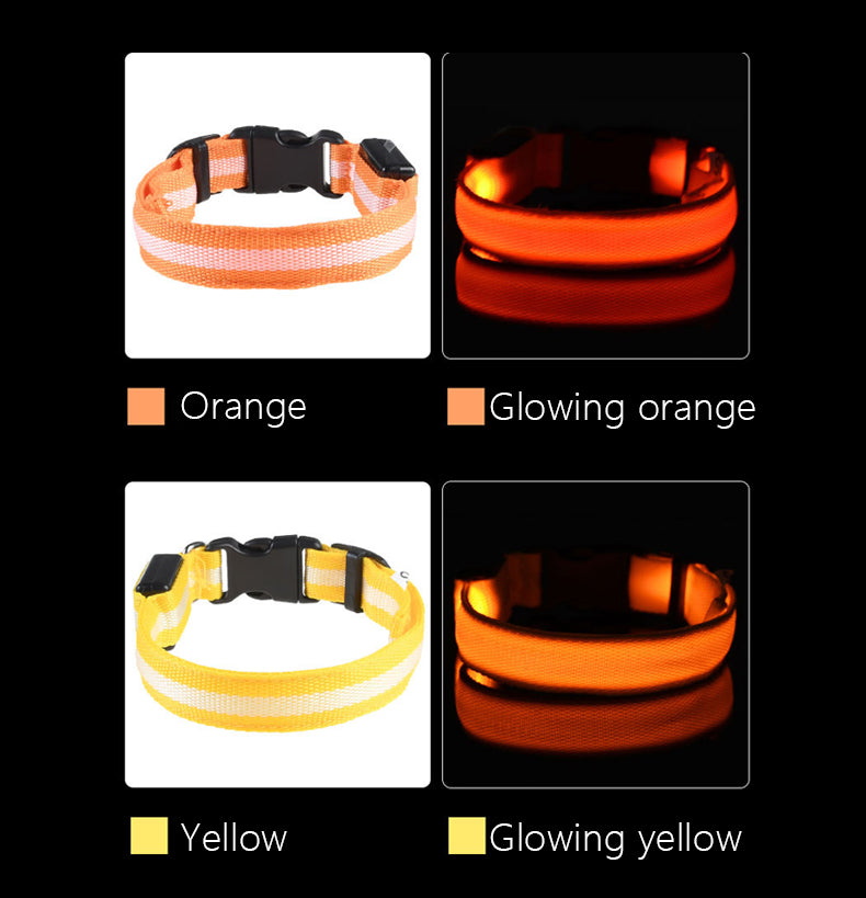 glowing dog collar