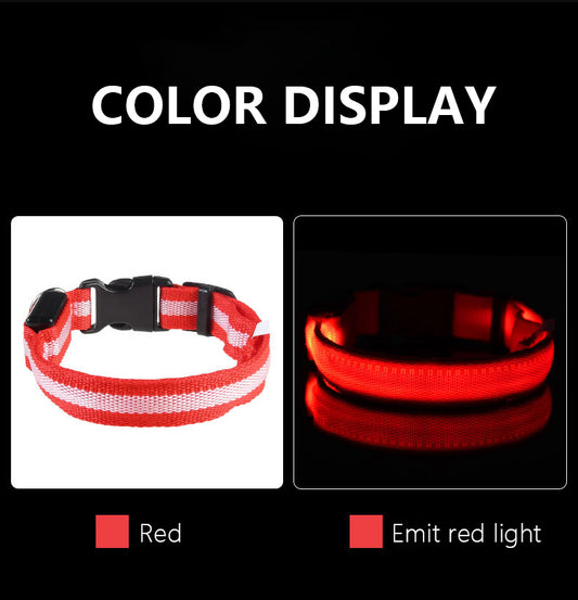 glowing dog collar
