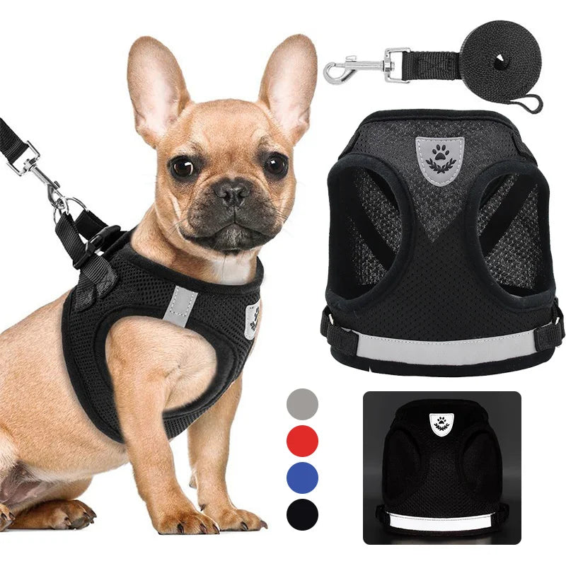 Mesh dog harness